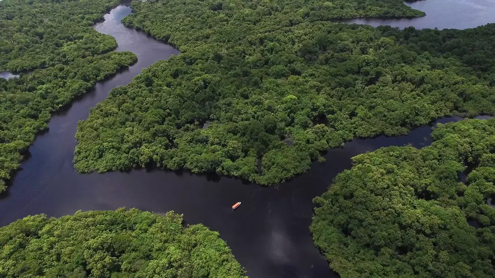 Imagem aérea da floresta amazônica na Venezuela, destacando a importância da mineração na transição energética discutida na COP30, com foco na preservação ambiental.