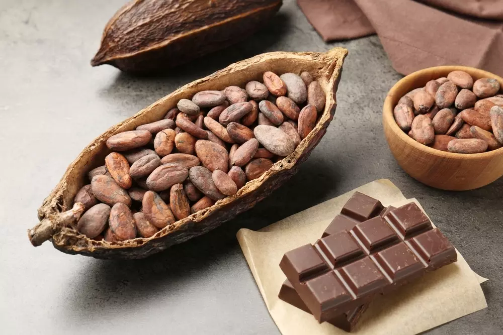 	
Cacau com sementes e barra de chocolate ao lado, alimentos usados na produção de chocolates artesanais e tradicionais.