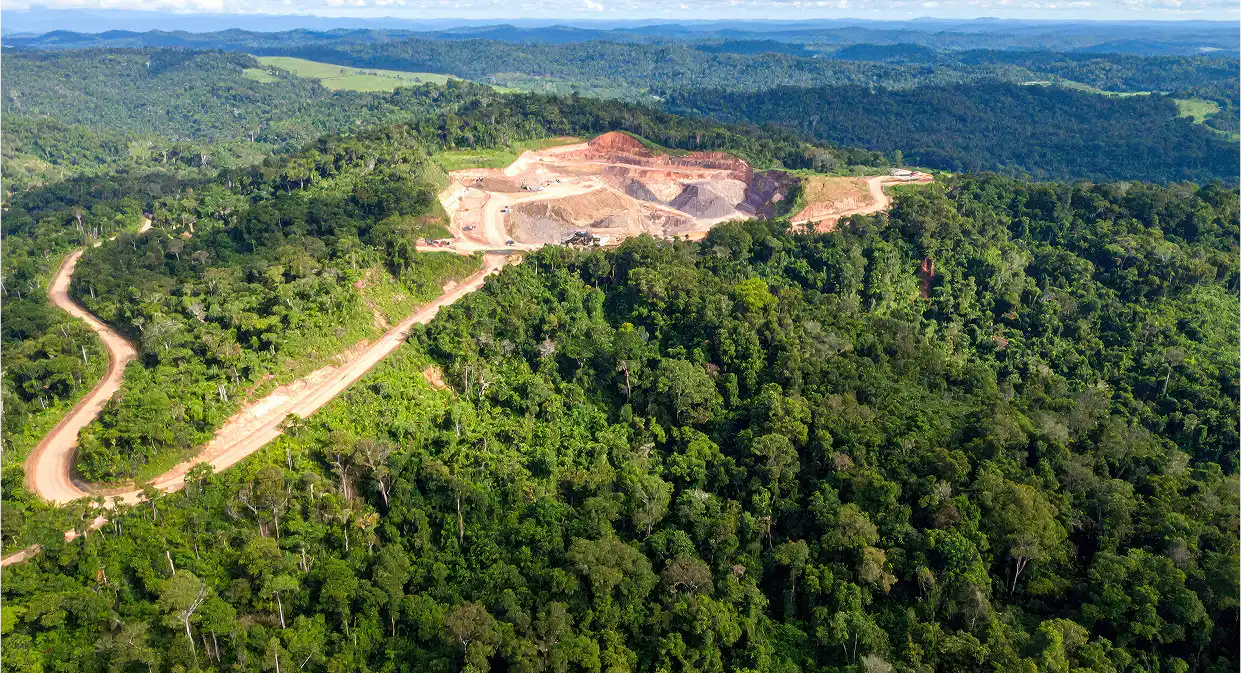 soluções baseadas na natureza