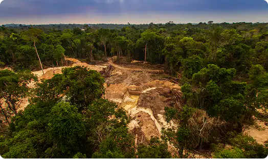 responsabilidade ambiental