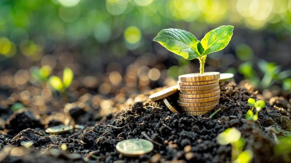 Planta jovem crescendo ao redor de moedas de ouro empilhadas na terra, simbolizando investimento sustentável e crescimento ecológico.