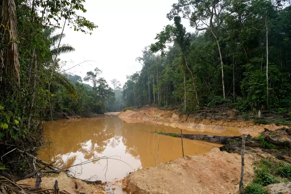 Garimpo ilegal de ouro contamina os rios da Amazônia com mercúrio, causando desmatamento, danos ambientais e agravando as mudanças climáticas.