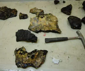 Amostras extraídas do solo submerso brasileiro