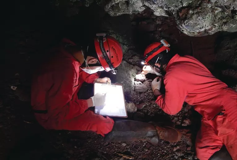 Dois pesquisadores vestidos com roupas vermelhas e capacetes, analisando amostras no interior de uma caverna, em uma atividade de levantamento técnico.