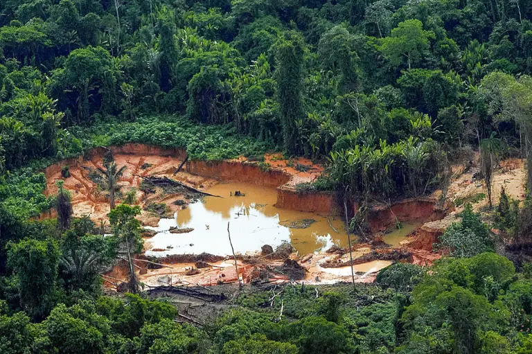 Uma grande área de mata atlântica foi desmatada, revelando uma cova lamacenta e cheia de água, cercada por árvores de folhagem densa, o que sugere um possível desmatamento ou atividade de garimpo que poderia chamar a atenção do Ministério Público.